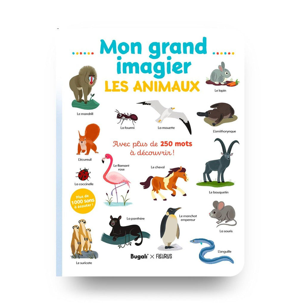 Coffret Bugali - Livre & Cartes Mes Premières Découvertes - 2