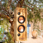 Enceinte Bluetooth The Bottle - 1