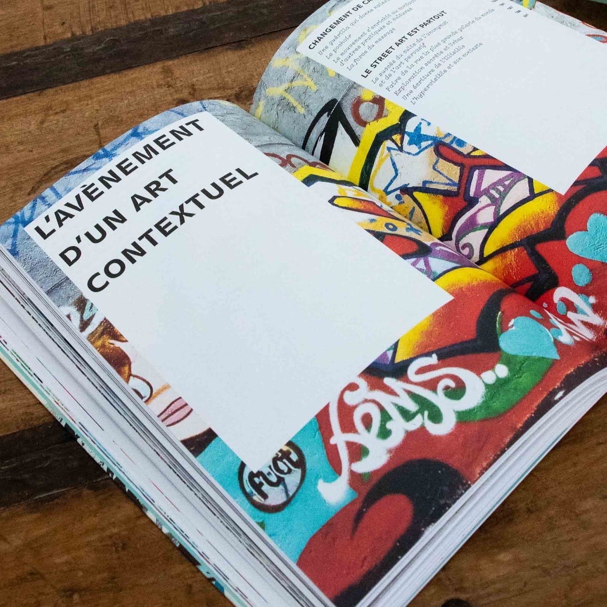 Livre anthologie du street art - 2