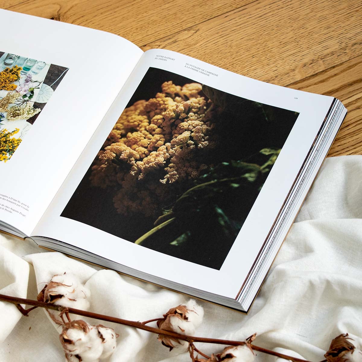 Livre Septime - 2