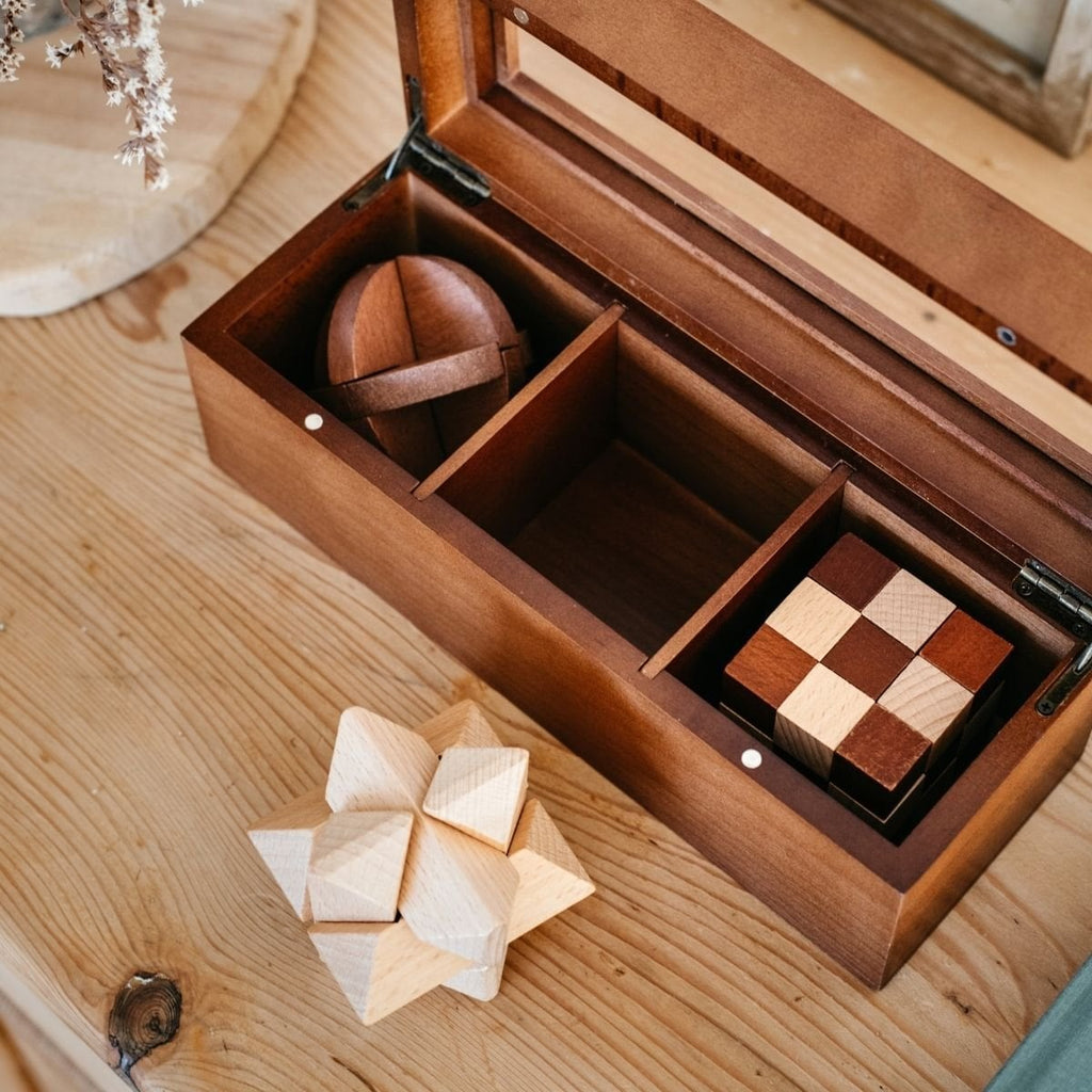 Set de 3 casse-têtes en bois - 2